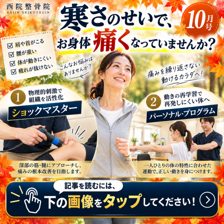 【エンジョイライフ新聞 10月号】「揉むだけ」はもう卒業！体の仕組みを知り、根本から見直す秋